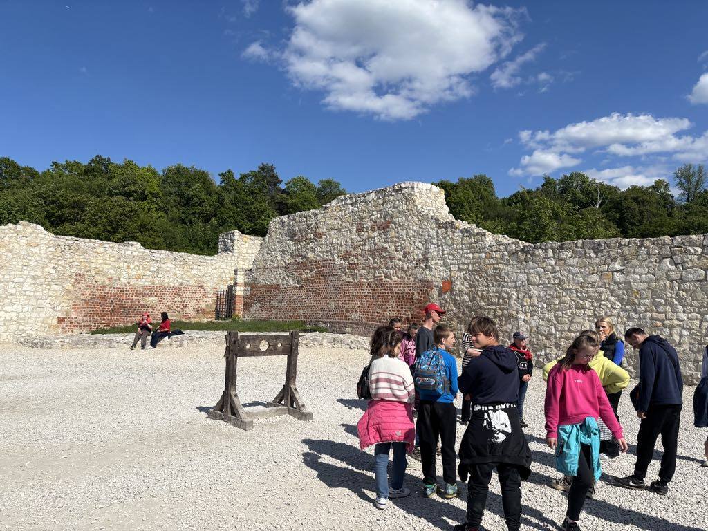 496936008 1393724425154662 3738359130238188264 n