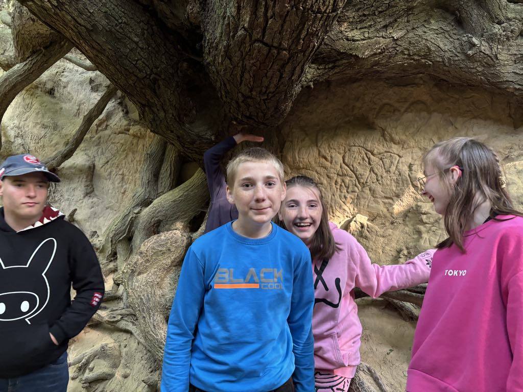 497014184 1393724771821294 423828912695646922 n