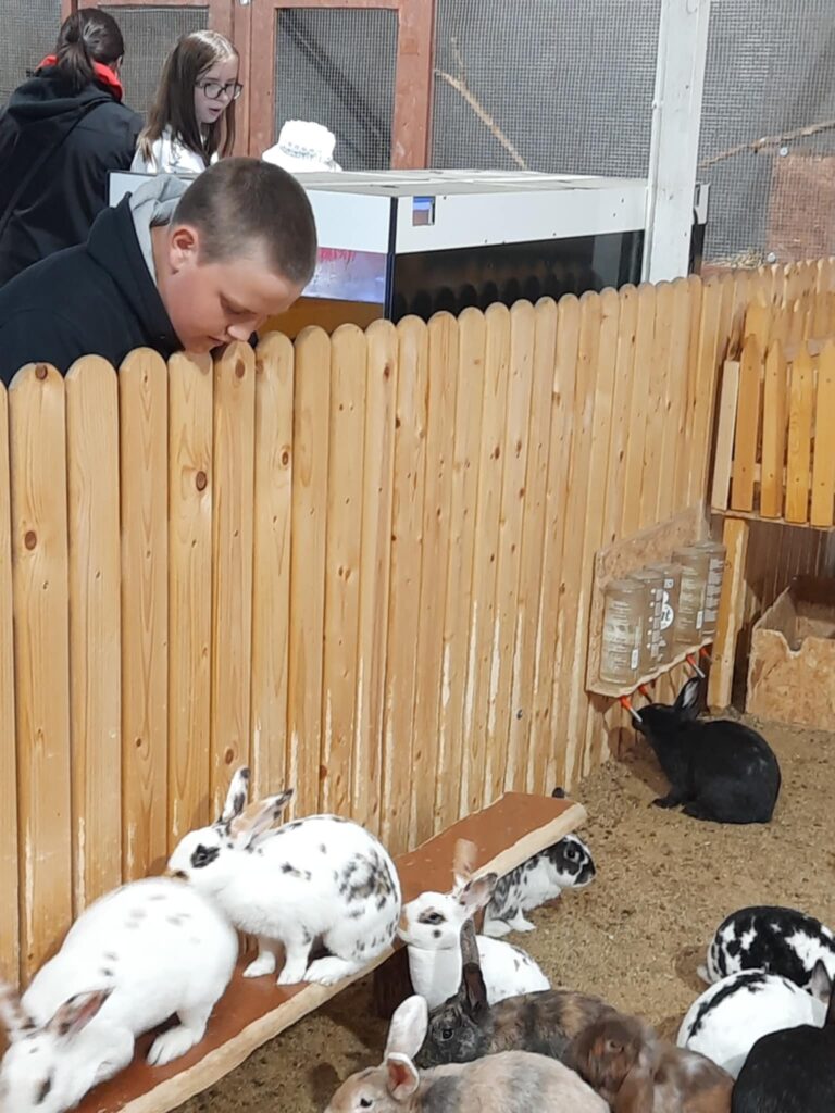 493083803 1419165999277171 1819543836633074657 n