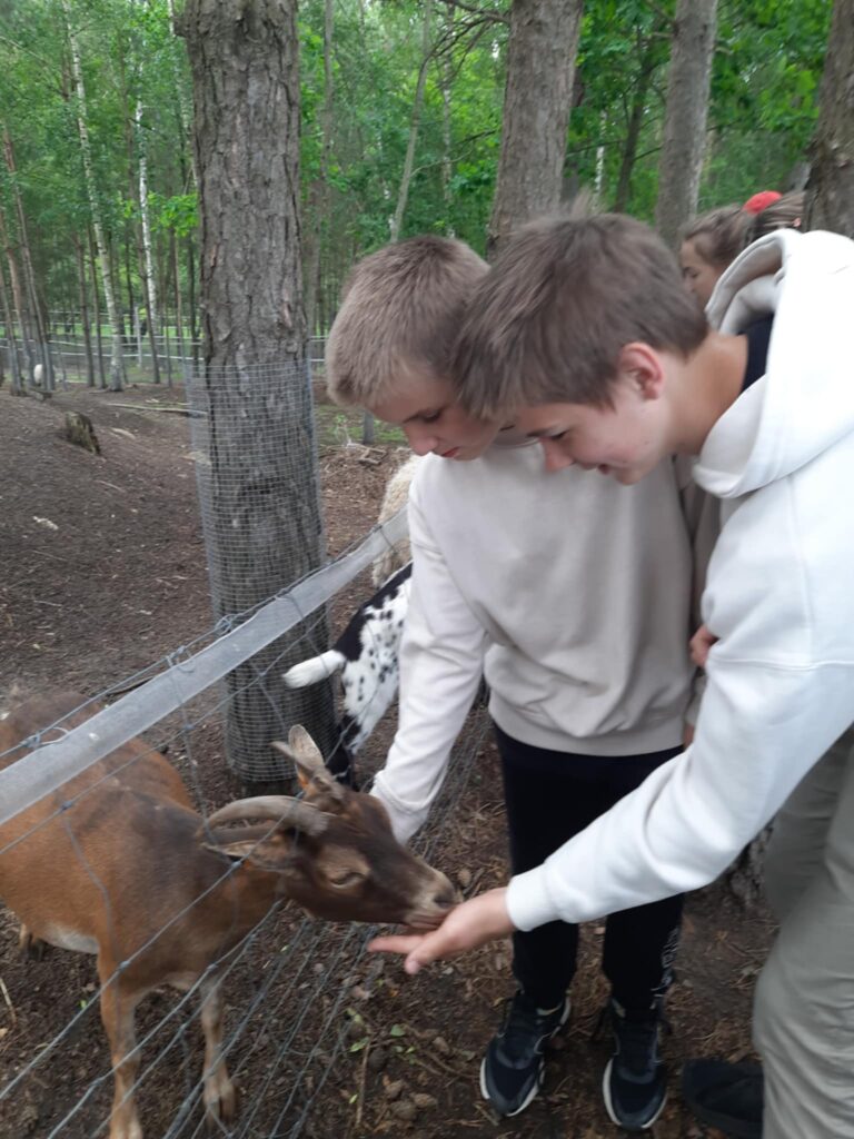 494144830 1419165722610532 3421058828375446674 n