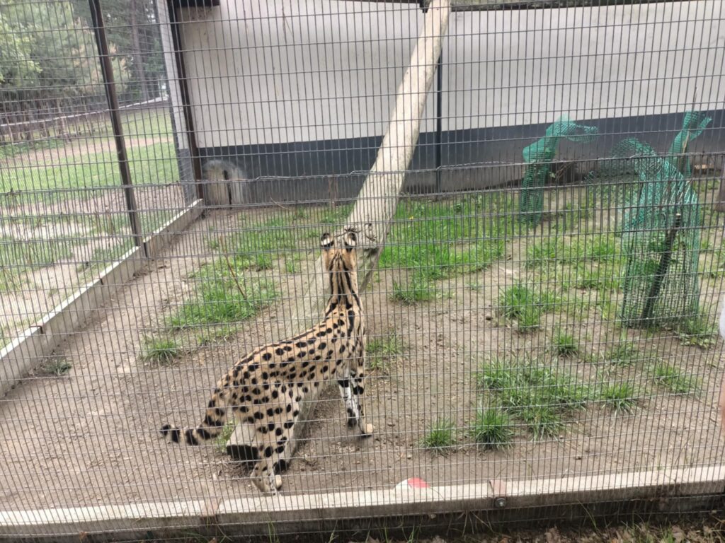 494207521 1419165909277180 5360892315852465071 n