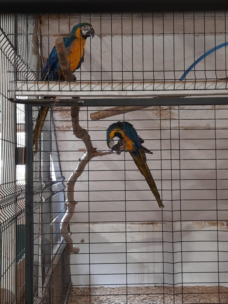 506468746 1419166055943832 2824618512370702790 n