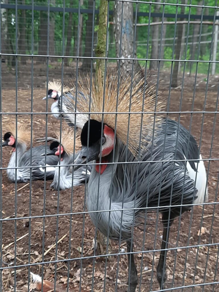 506733068 1419165772610527 2194694168820165330 n