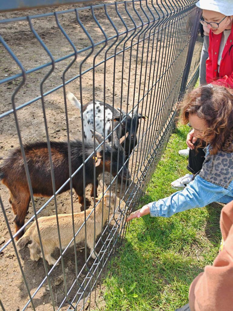 506947779 1418845995975838 627985403898153712 n