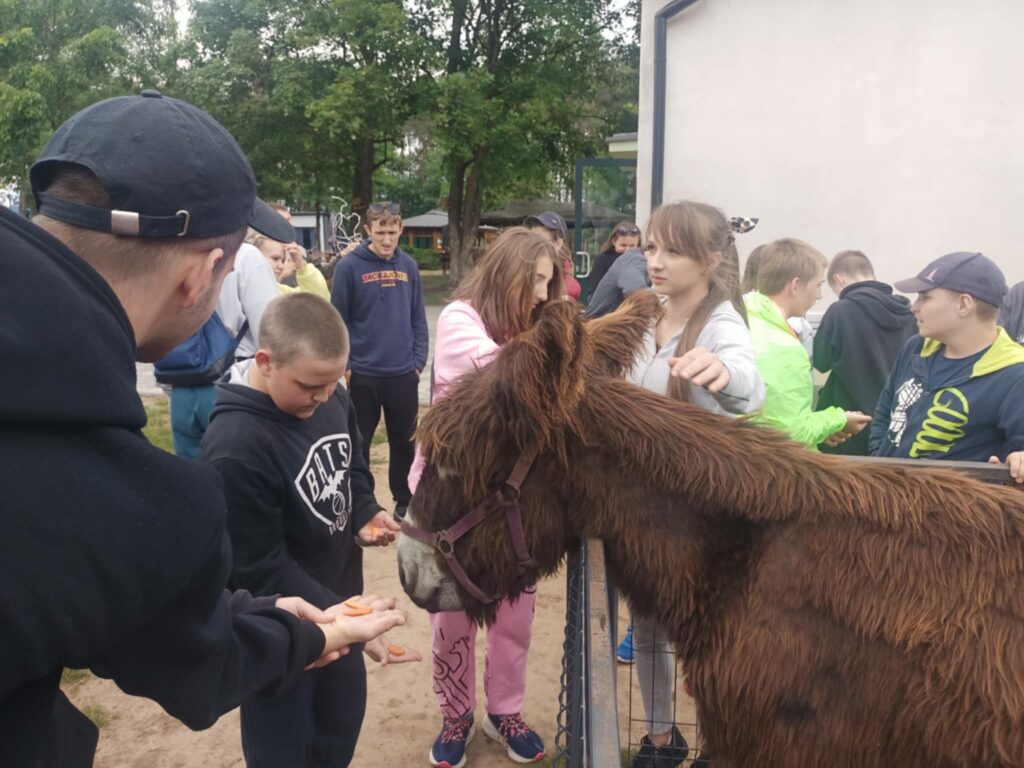 508112150 1418844875975950 8278615404940883431 n