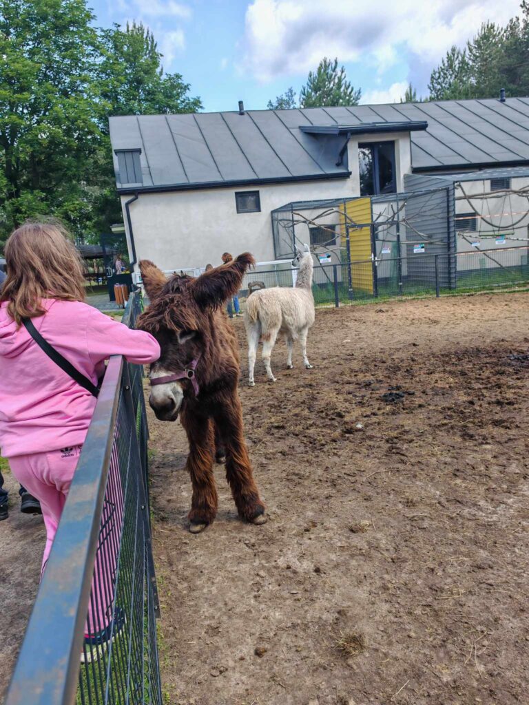 508163785 1418845935975844 7344509802942785057 n