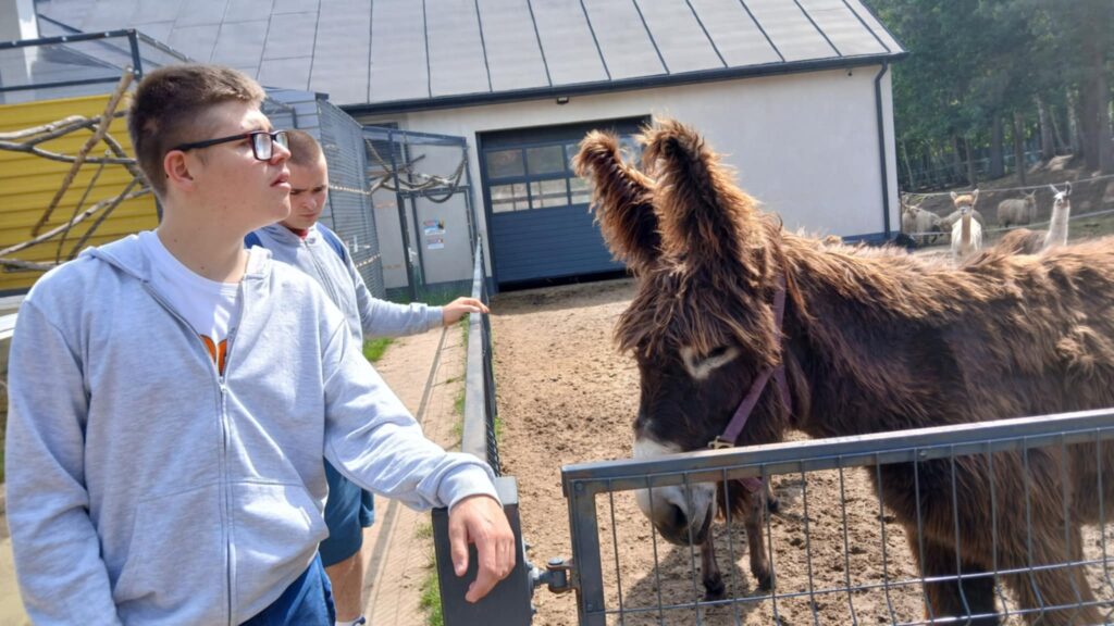 508191919 1418847012642403 1664206572206873568 n