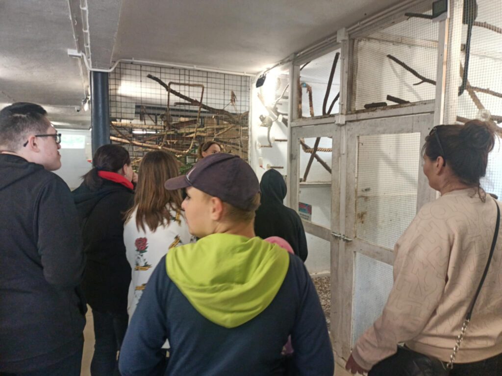 508424041 1418844865975951 1111956675105657307 n