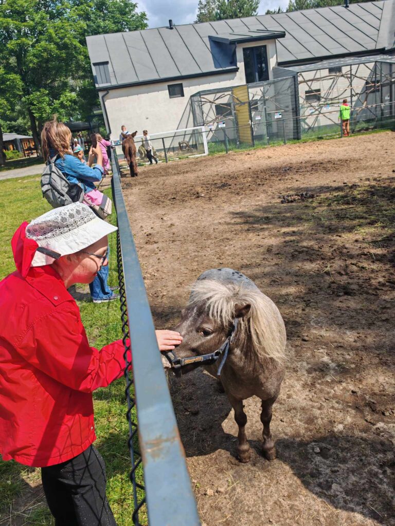 508485298 1418845729309198 4420339070429889 n