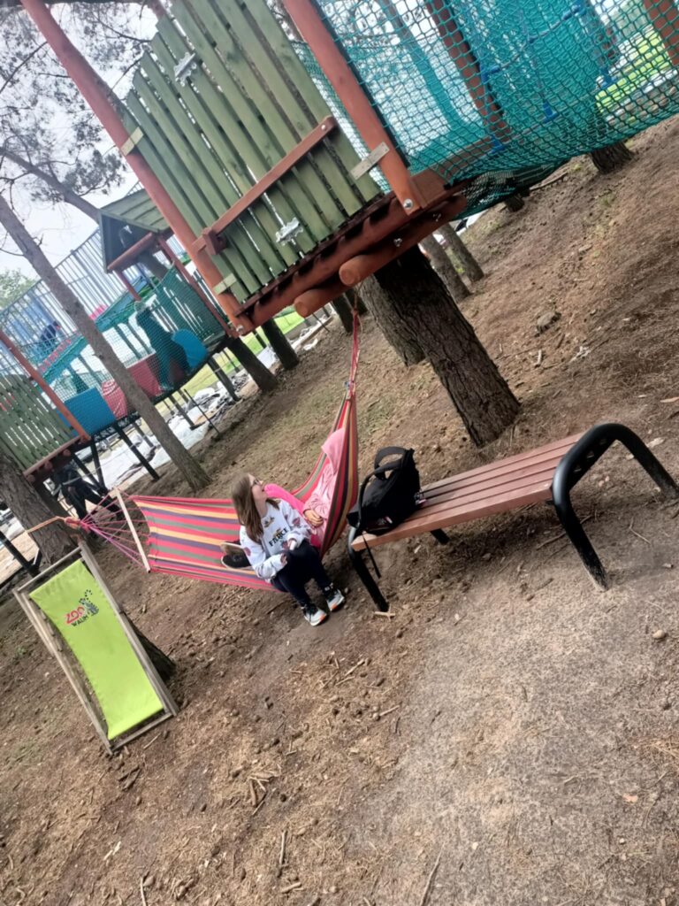 508548008 1418845752642529 7118444974899112825 n