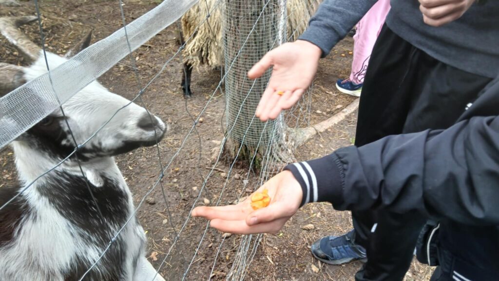 508656777 1418846899309081 6030693479112228316 n