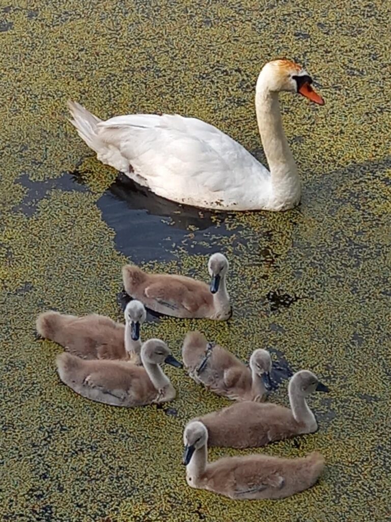 515007411 1430595991467505 1920705756897794581 n