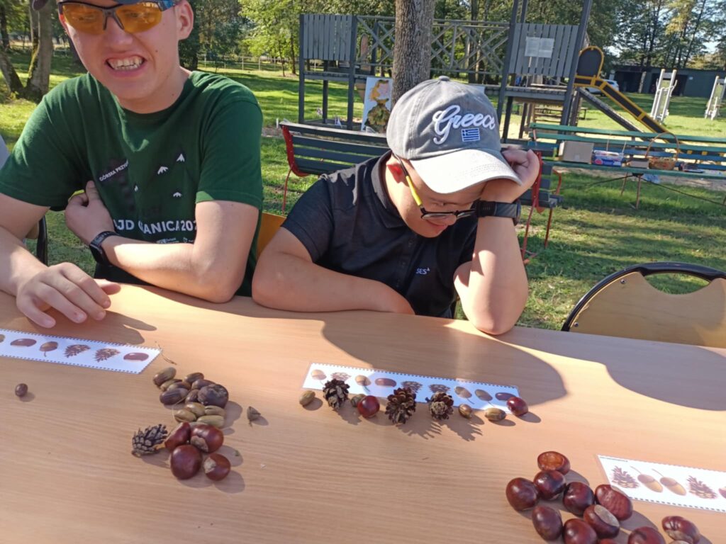 550210789 1496825074844596 2424778268608246787 n