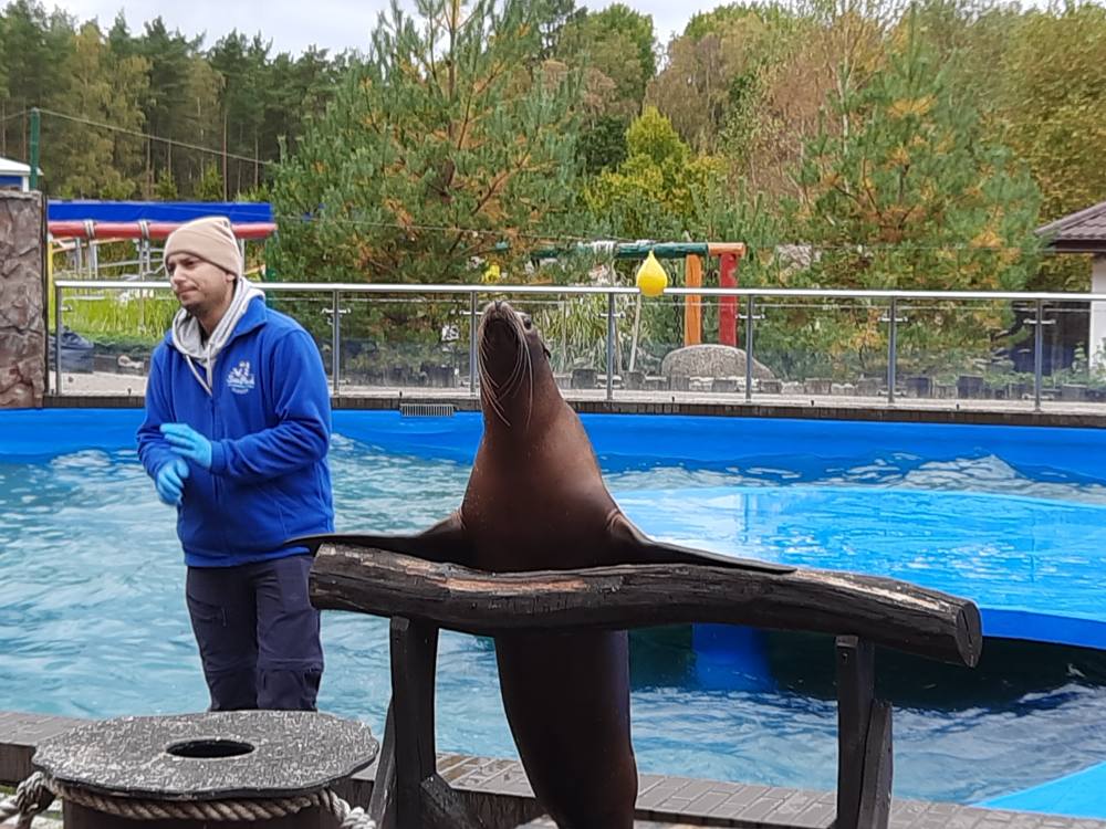 565796218 1124837913169167 3343834884098519486 n