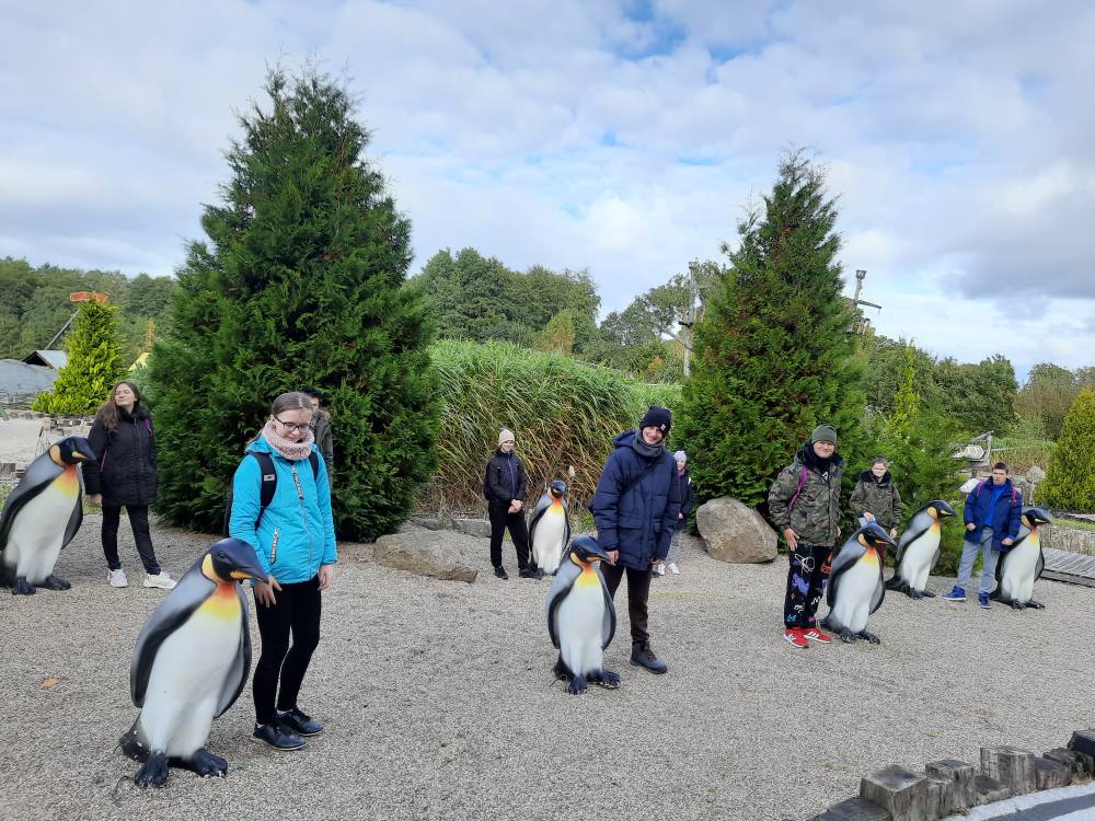 566271483 1124837119835913 1172777724883083703 n