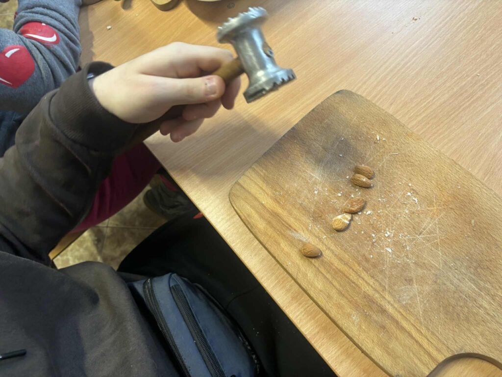 587255339 1547825013077935 2710928264592230073 n